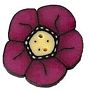 Small Raspberry Wildflower
